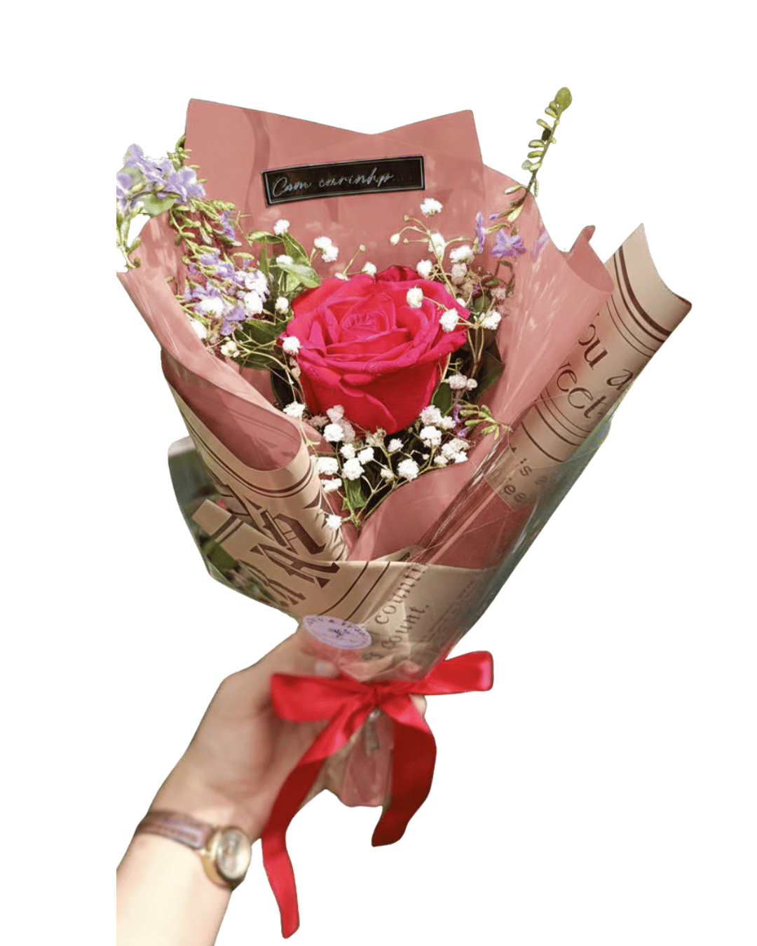 Rosa